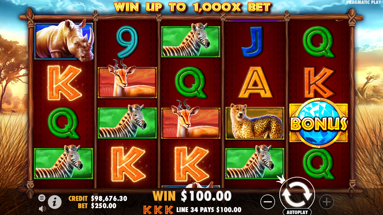 Safari King slot winnings